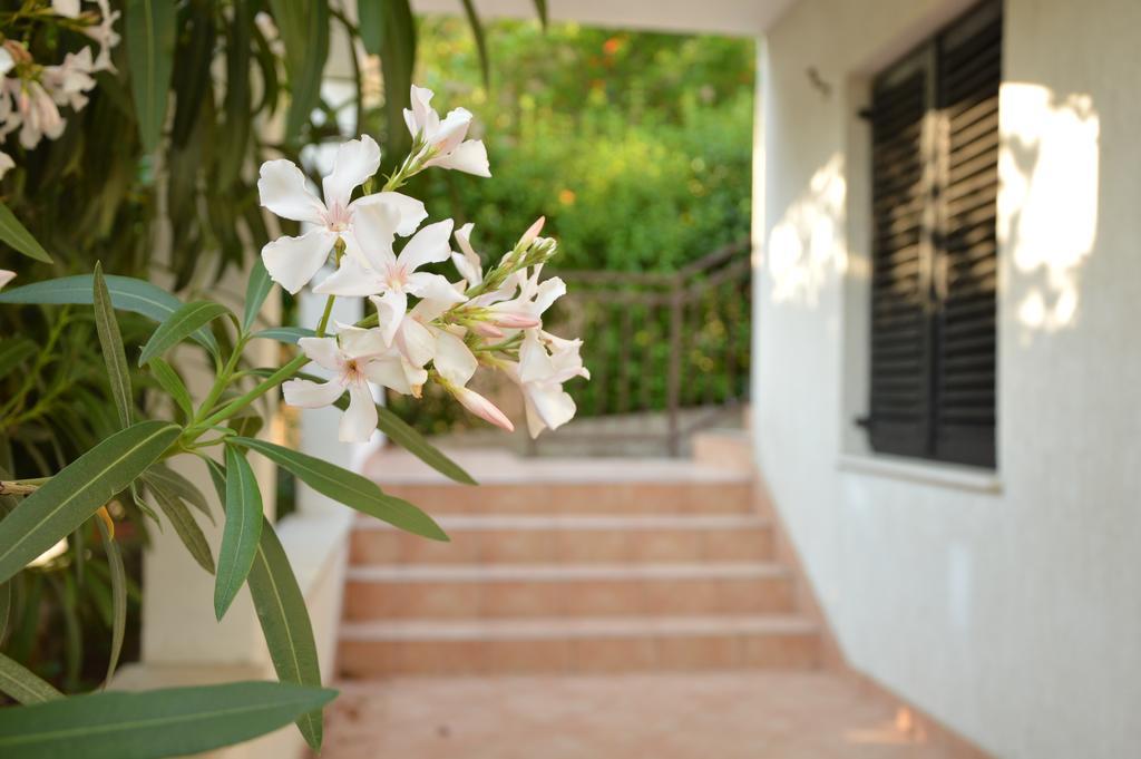 Holiday House Maja Podglavica Екстер'єр фото